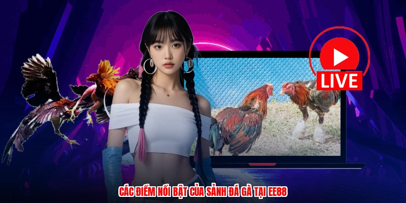 Các điểm nổi bật của sảnh đá gà tại EE88