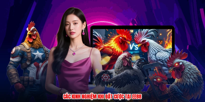 Các kinh nghiệm khi đặt cược tại EE88