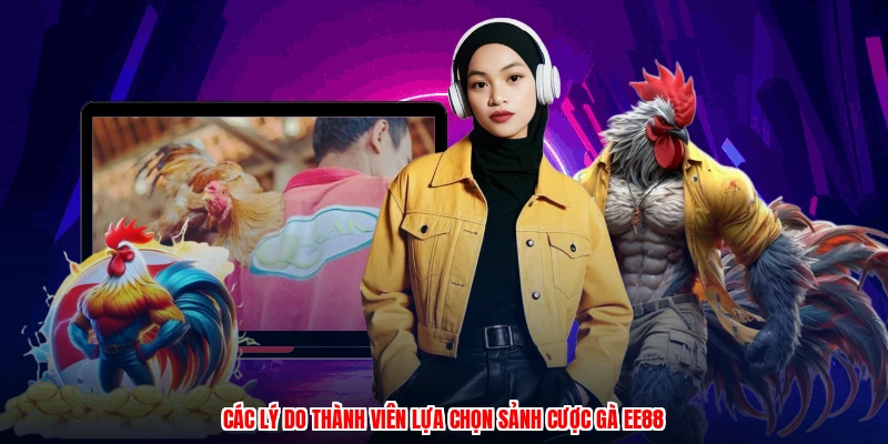 Các lý do thành viên lựa chọn sảnh cược gà EE88