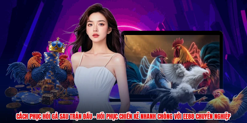 Cách Phục Hồi Gà Sau Trận Đấu - Hồi Phục Chiến Kê Đơn Giản
