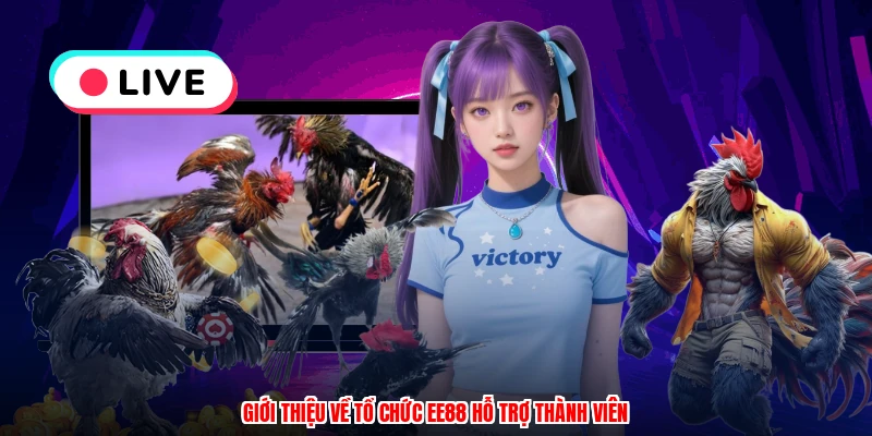 Giới thiệu về tổ chức EE88 hỗ trợ thành viên