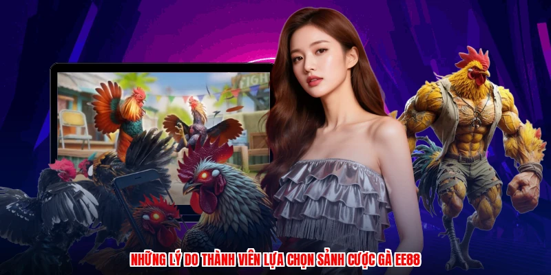 Những lý do thành viên lựa chọn sảnh cược gà EE88