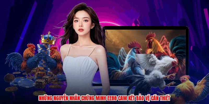 Những nguyên nhân chứng minh EE88 cam kết bảo vệ cần thiết