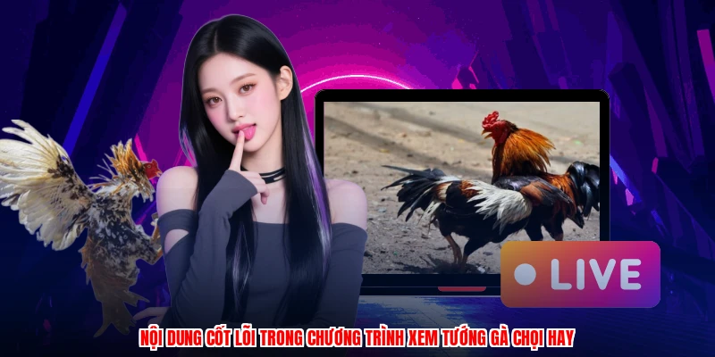 Nội dung cốt lõi trong chương trình xem tướng gà chọi hay