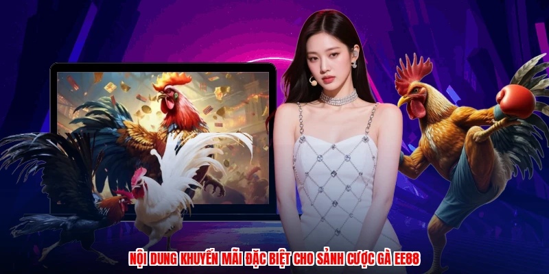 Nội dung khuyến mãi đặc biệt cho sảnh cược gà EE88