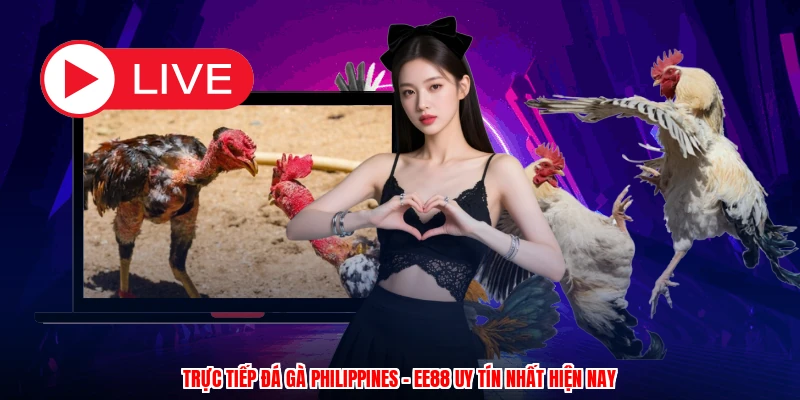 Trực Tiếp Đá Gà Philippines - EE88 Uy Tín Nhất Hiện Nay
